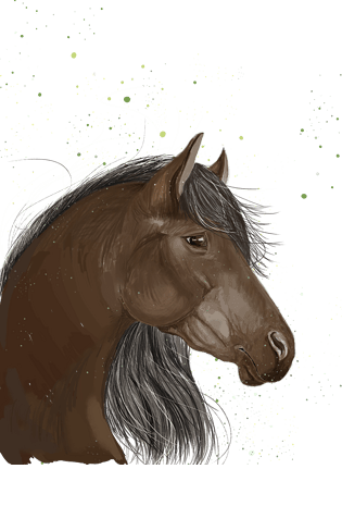 手绘动物骏马插画