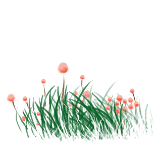 花卉草地图片大全