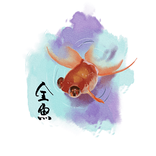 水彩手绘插画金鱼