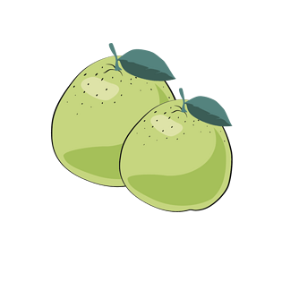 西柚切片无缝背景矢量素材pngpsd2000*2000多汁新鲜西柚pngpsd2000*