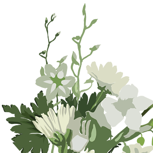 手绘大自然绿色小草