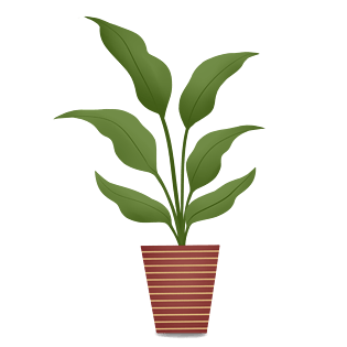 绿色的清新装饰花盆