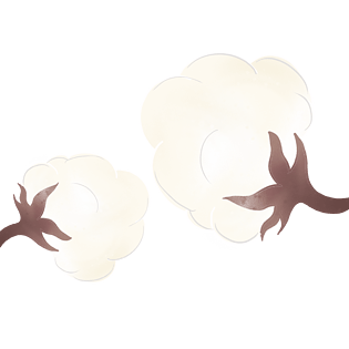 农作物棉花插画矢量图