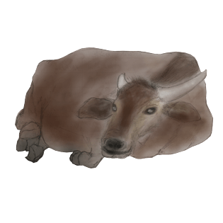 卡通手绘中国风水彩老牛免抠png