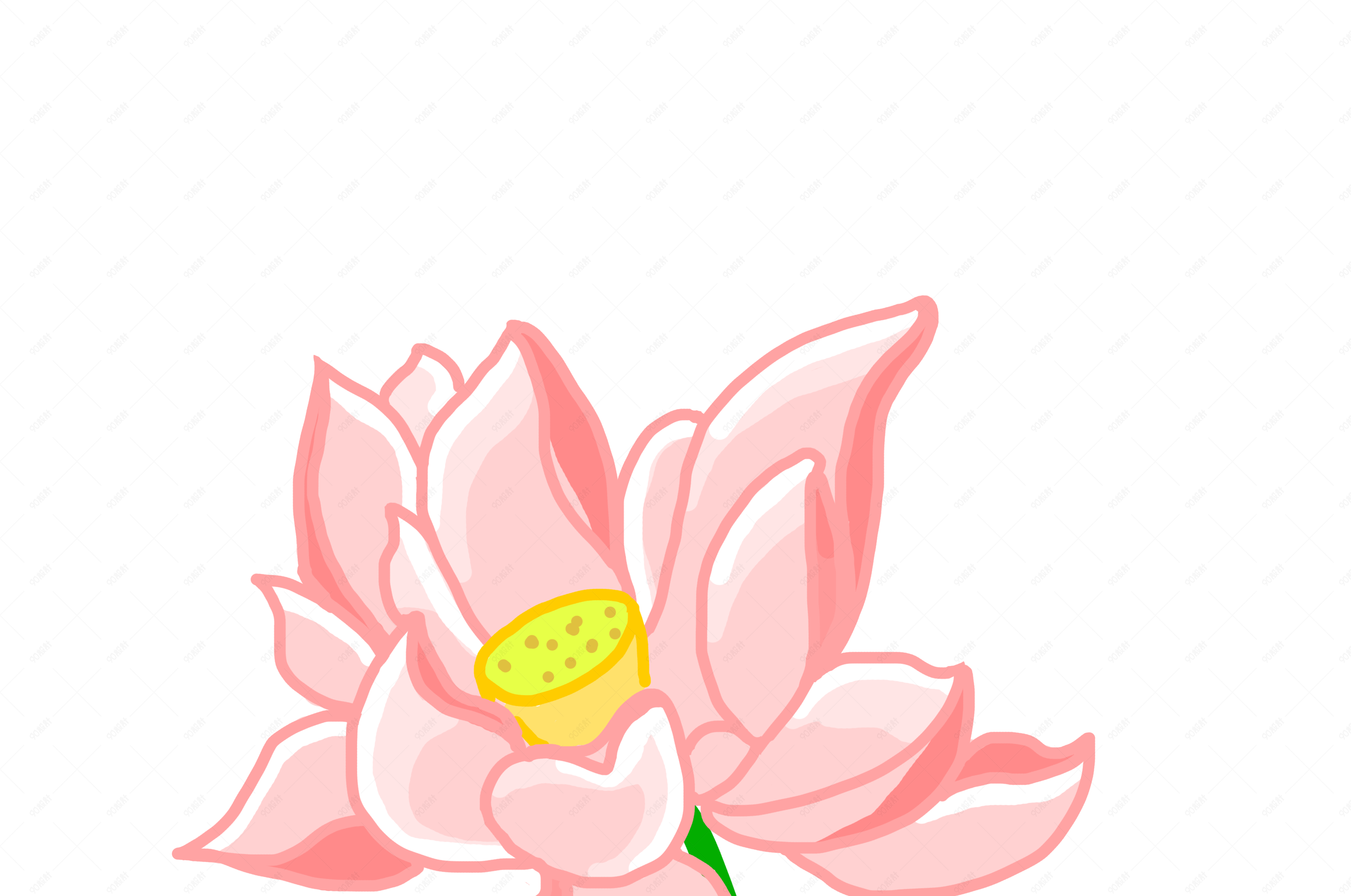 手绘粉色唯美的荷花