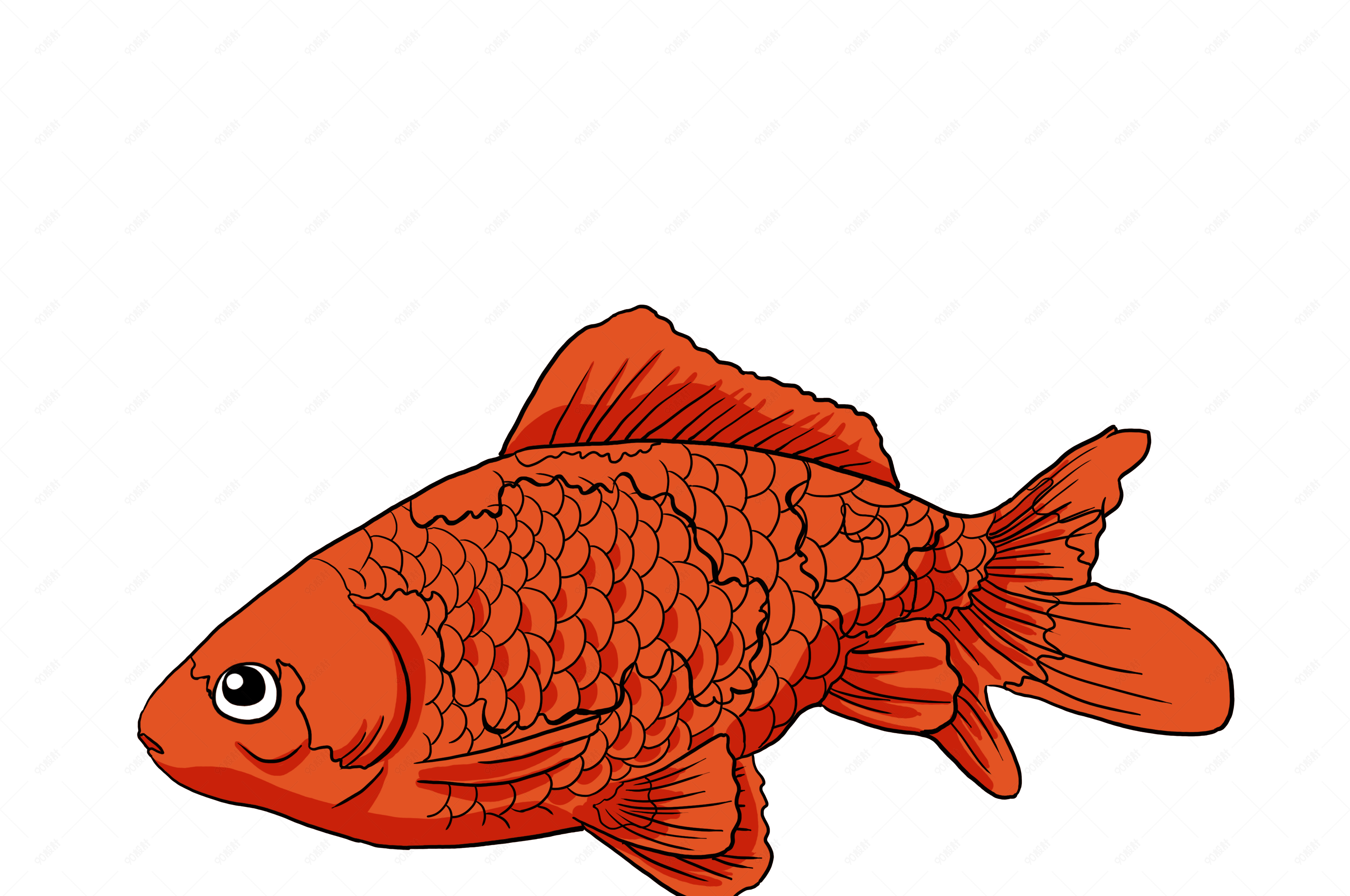 美丽水生动物红色卡通鲤鱼
