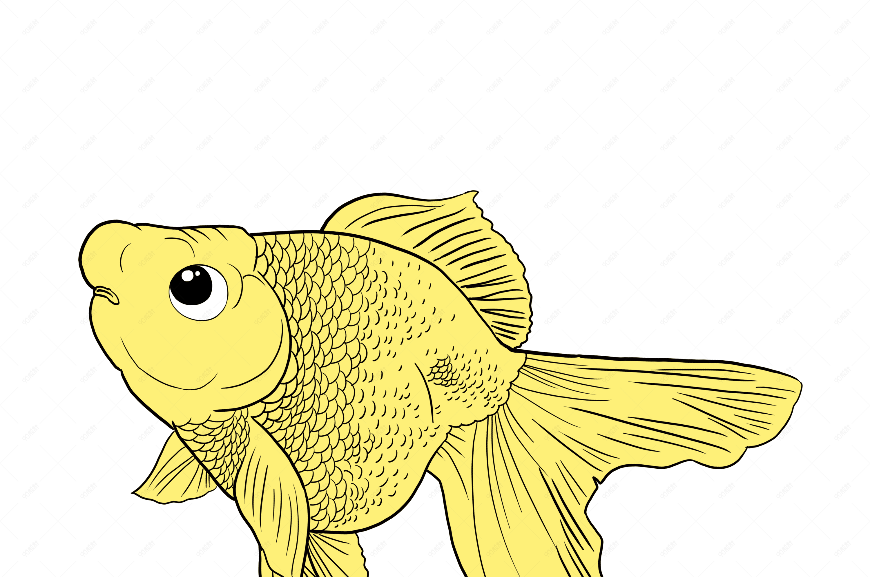 美丽水生动物黄色金鱼寓意吉祥花房