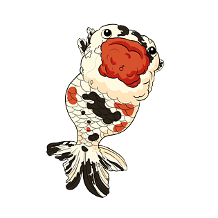 美丽水生动物卡通鱼类江户锦