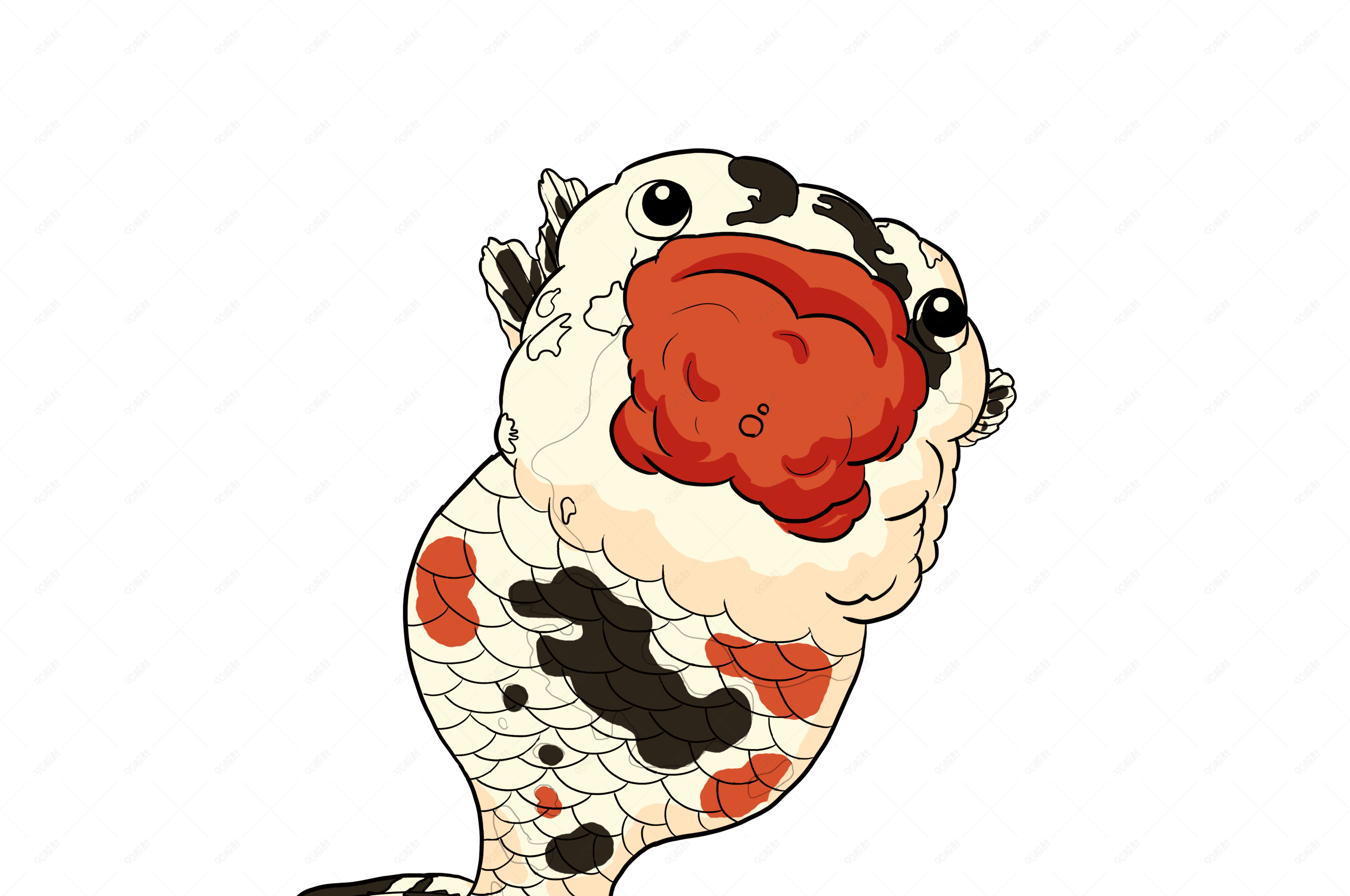 美丽水生动物卡通鱼类江户锦