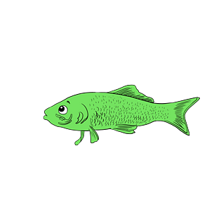 美丽水生动物绿色卡通小鱼