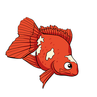 pngpsd2000*2000手绘红色金鱼插画pngpsd2000*2000手绘卡通金鱼红色