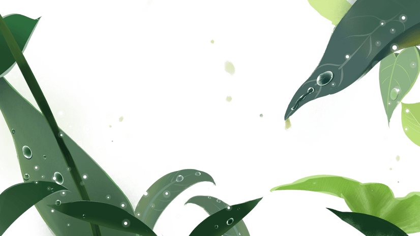 卡通露珠图片大全