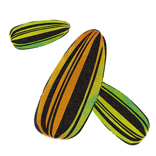 卡通坚果瓜子仁瓜子插画设计pngpsd2000*2000手绘瓜子免抠设计素材png