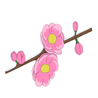 冬天的梅花图片大全