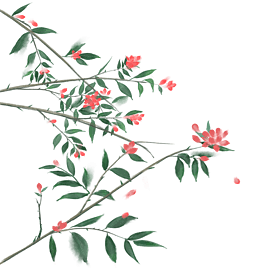 植物古风图片大全_植物古风图片素材【png免费下载】-90设计网