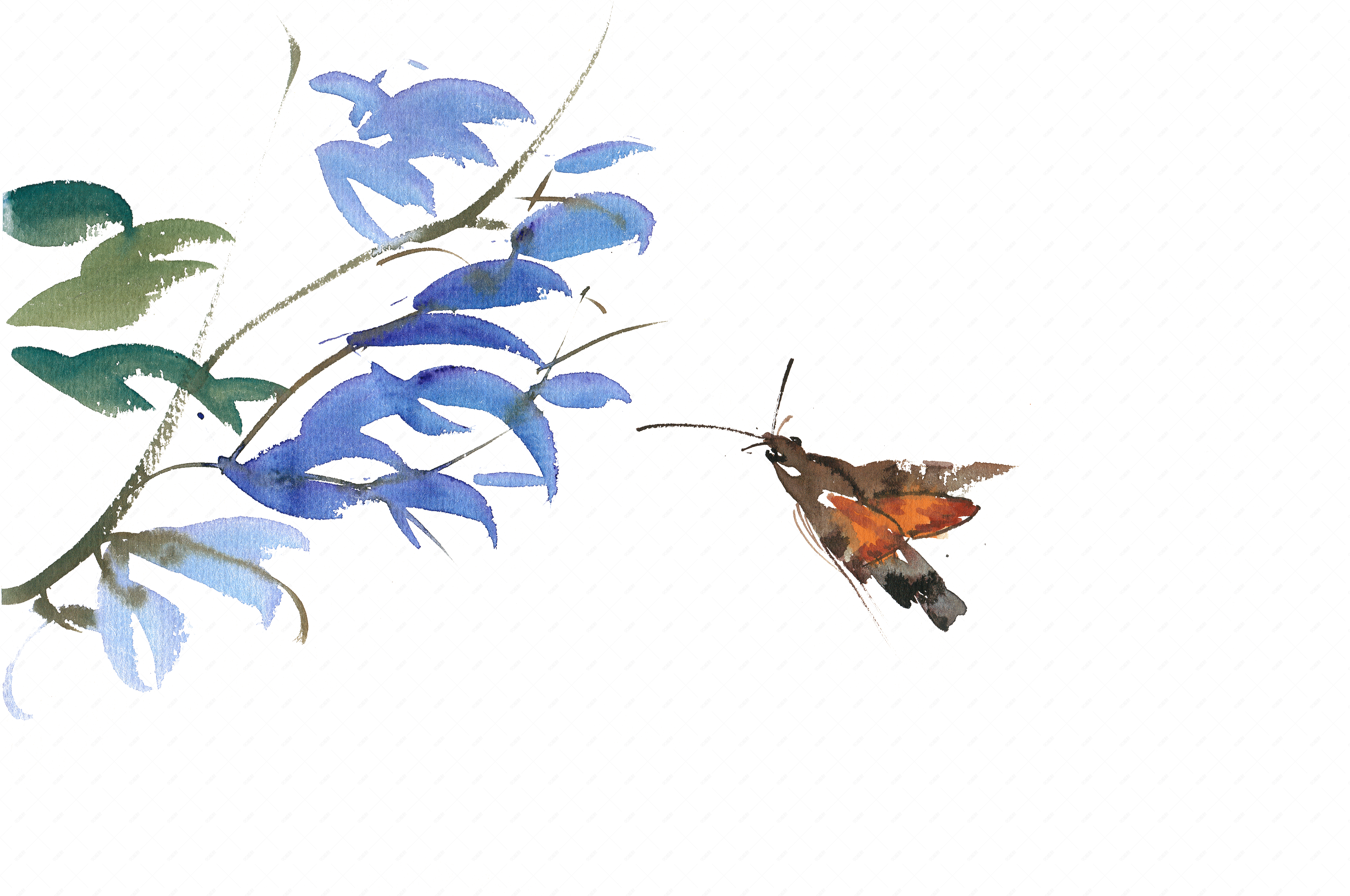 飞蛾水彩画png免抠素材