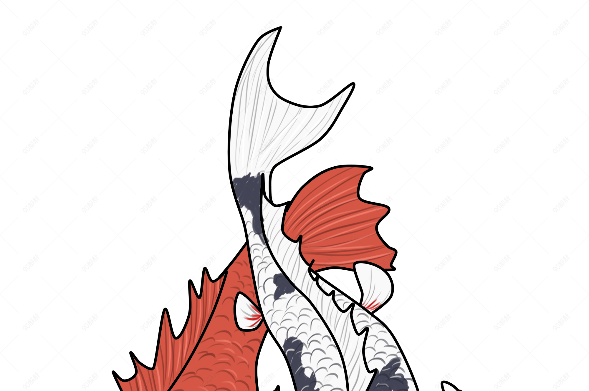 锦鲤红色白色鱼手绘插画