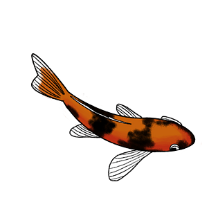 幸运卡通图片大全_幸运卡通图片素材【png免费下载】-90设计网