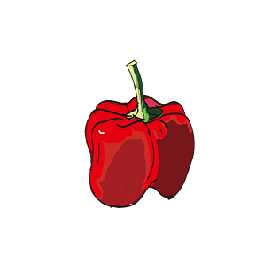 红色辣椒蔬果素材灯笼椒手绘写实免扣矢量