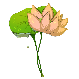 荷花卡通手绘插画