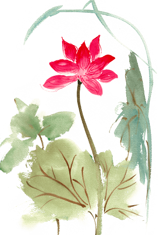 鲜艳荷花水彩画png免抠素材