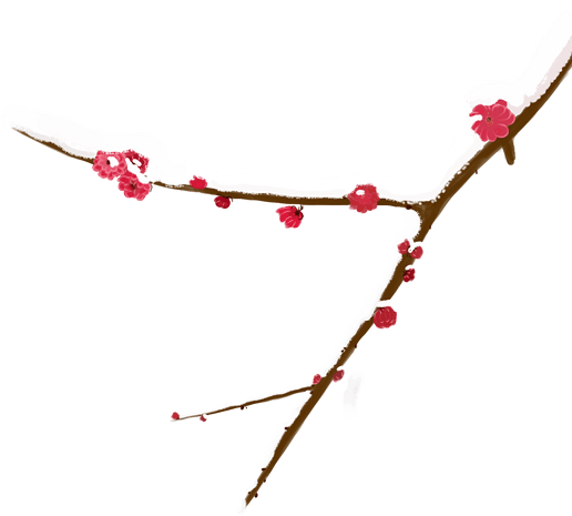 冬季腊梅手绘插画
