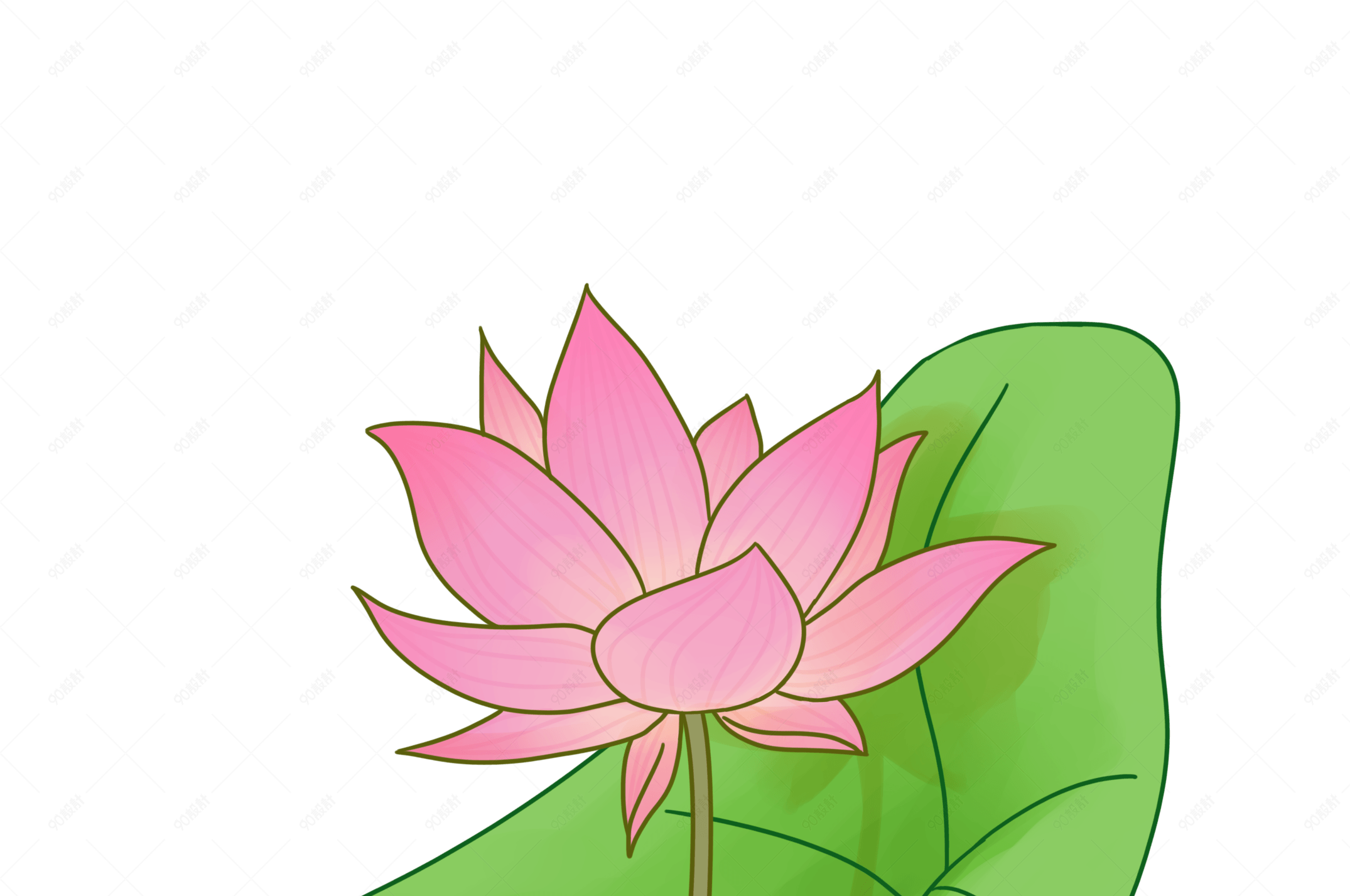 清新荷花荷叶插画