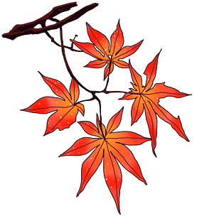 手绘唯美红色枫叶插画