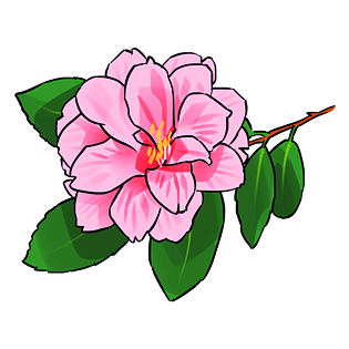 紫色山茶花卡通插画