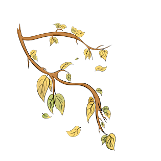 秋冬季秋风落叶插画