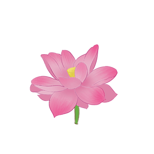 荷花卡通图片大全