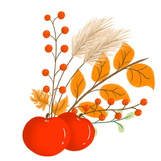 绿树红果插画pngpsd2000*2000手绘冬青红果插画pngpsd2000*2000手绘红