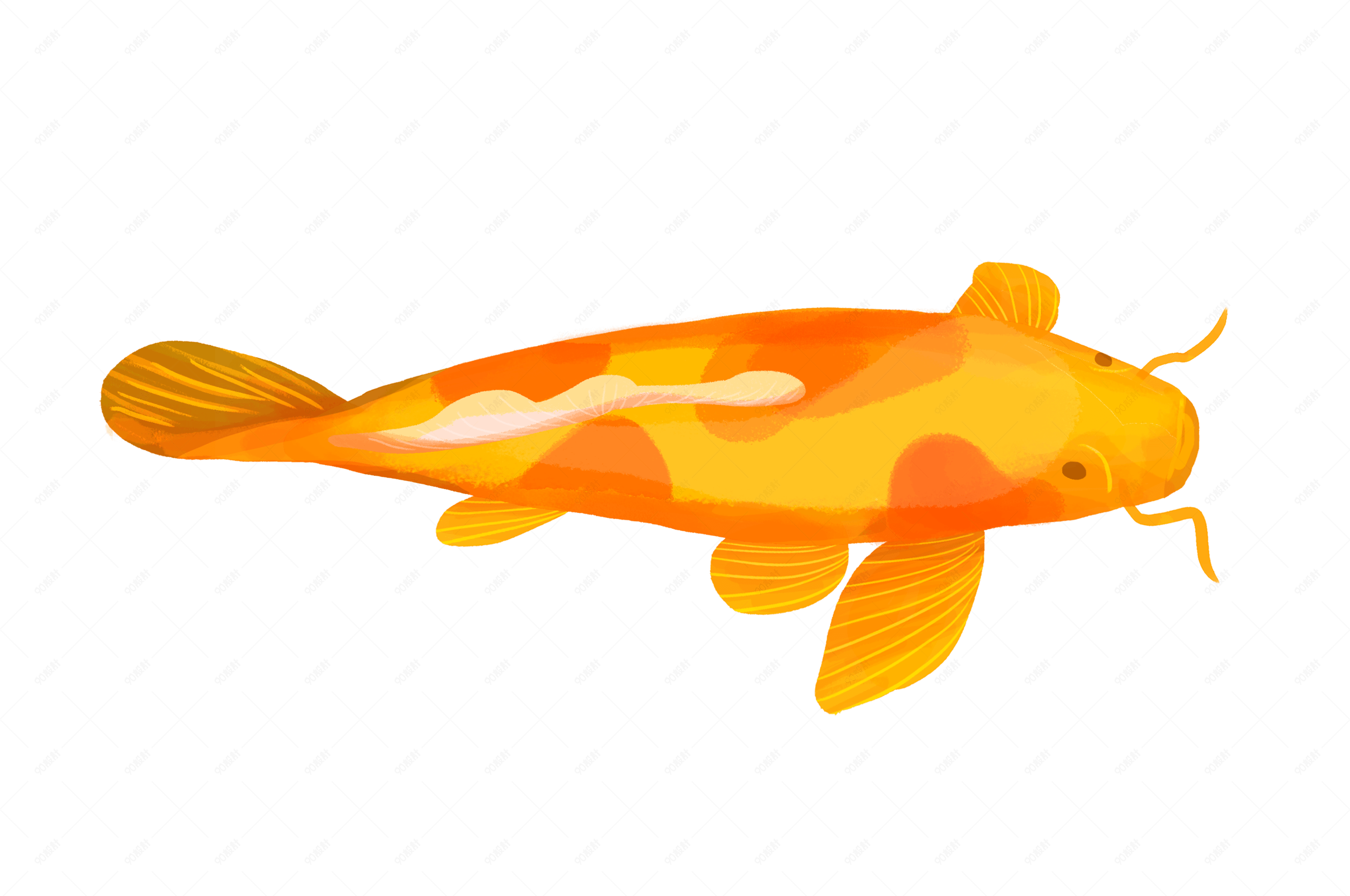 手绘金黄色鲤鱼插画