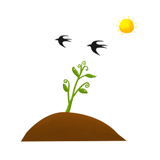 手绘的小草发芽插画