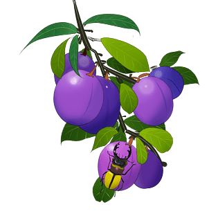 紫叶李卡通图片