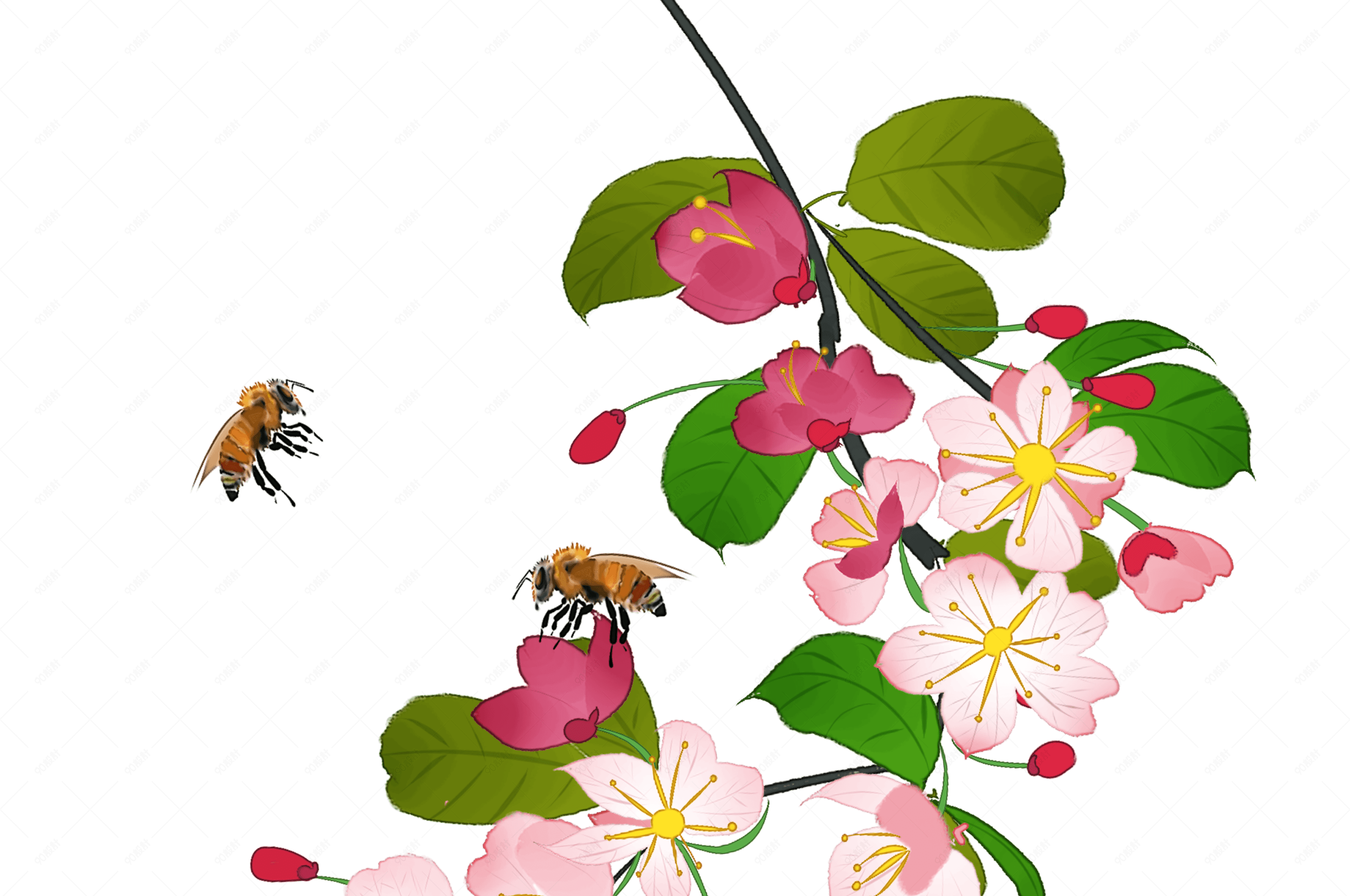 中国风花卉粉色海棠花蜜蜂装饰png下载