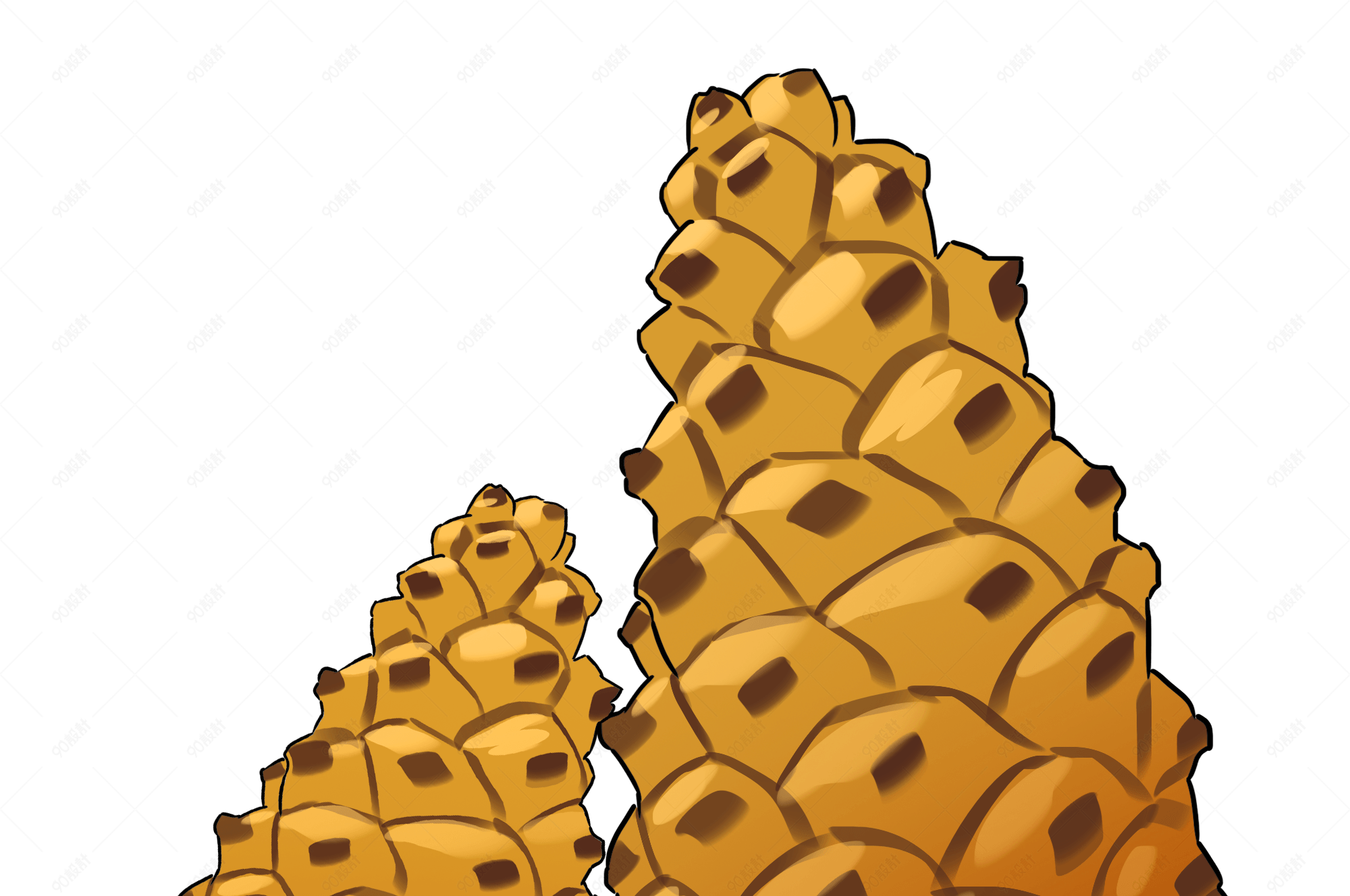 手绘松树果实松塔插画