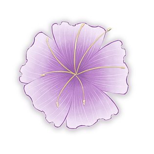 紫色手绘风清新可爱五瓣花朵png素材