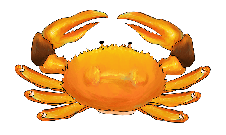 手绘卡通风格螃蟹