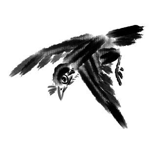 手绘卡通黑色小鸟