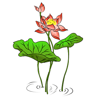 卡通荷花图片大全