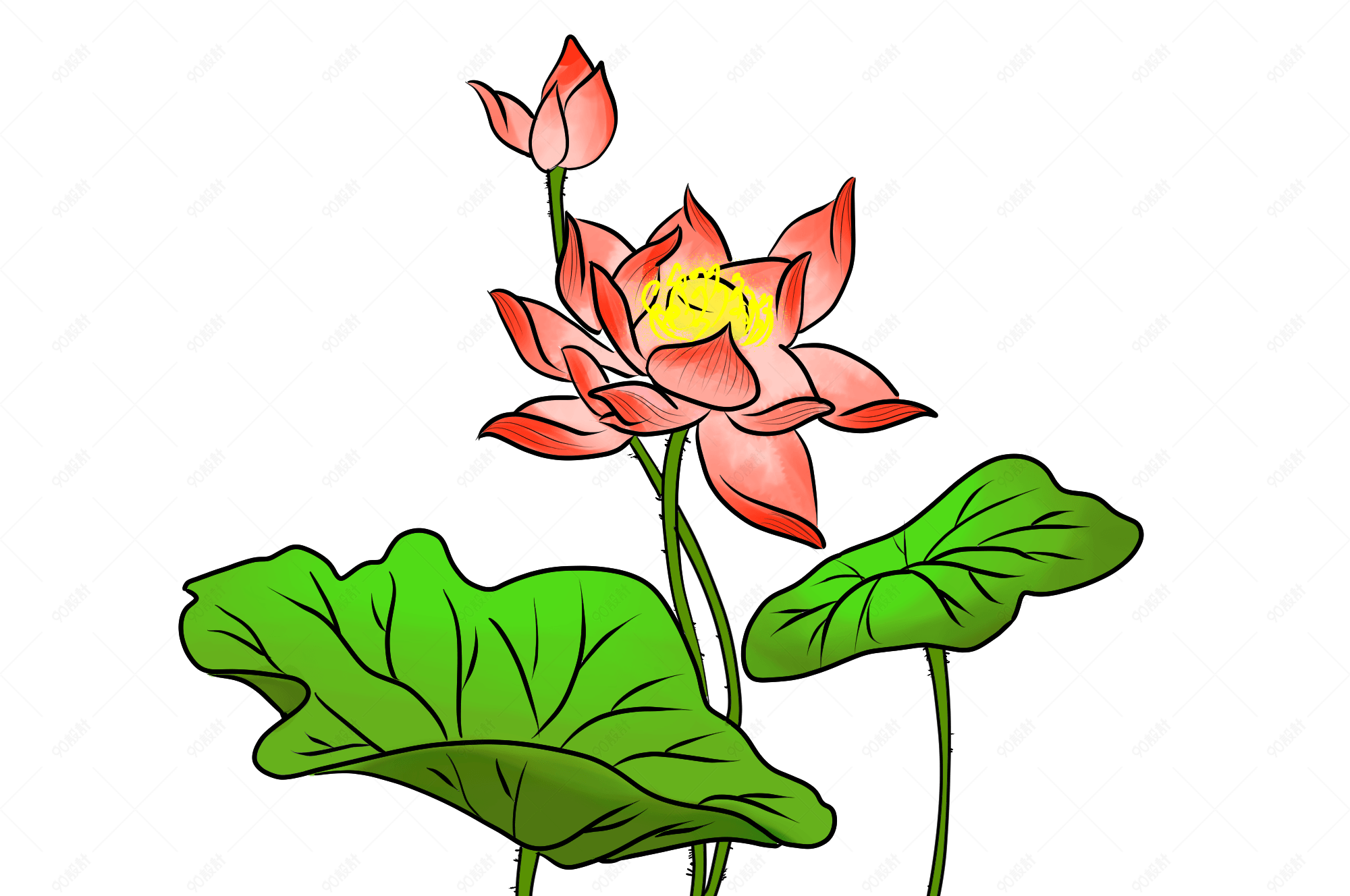 荷花植物手绘卡通