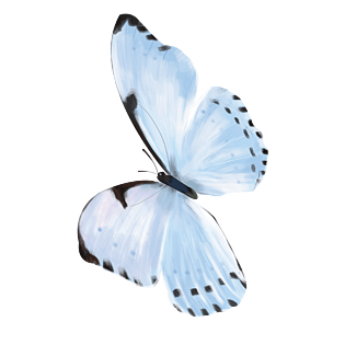 蓝色的蝴蝶手绘插画