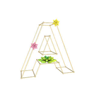 c4d立体镂空字母a多肉装饰摆件