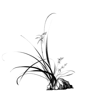 中国风兰花水墨画