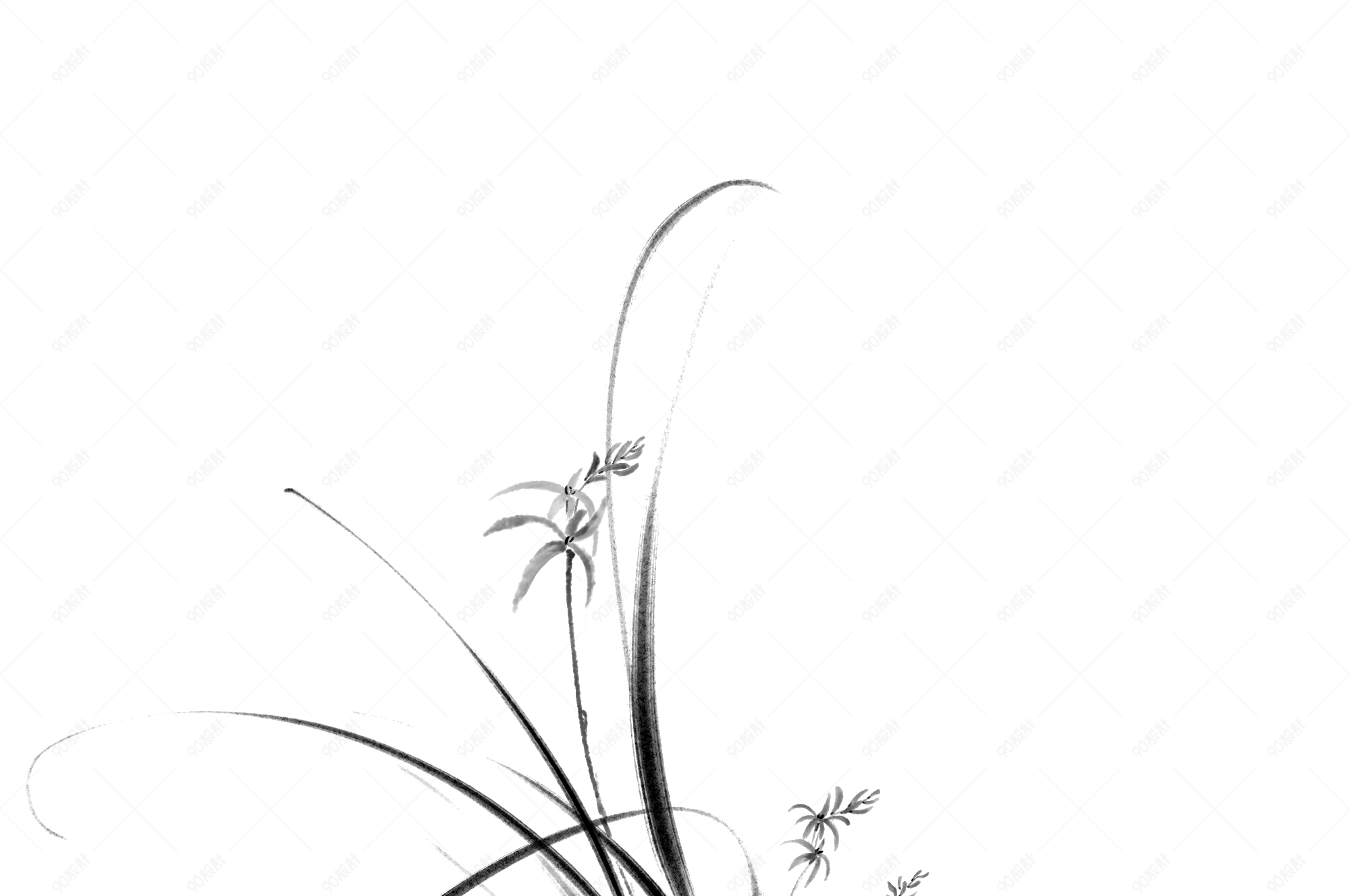 中国风兰花水墨画