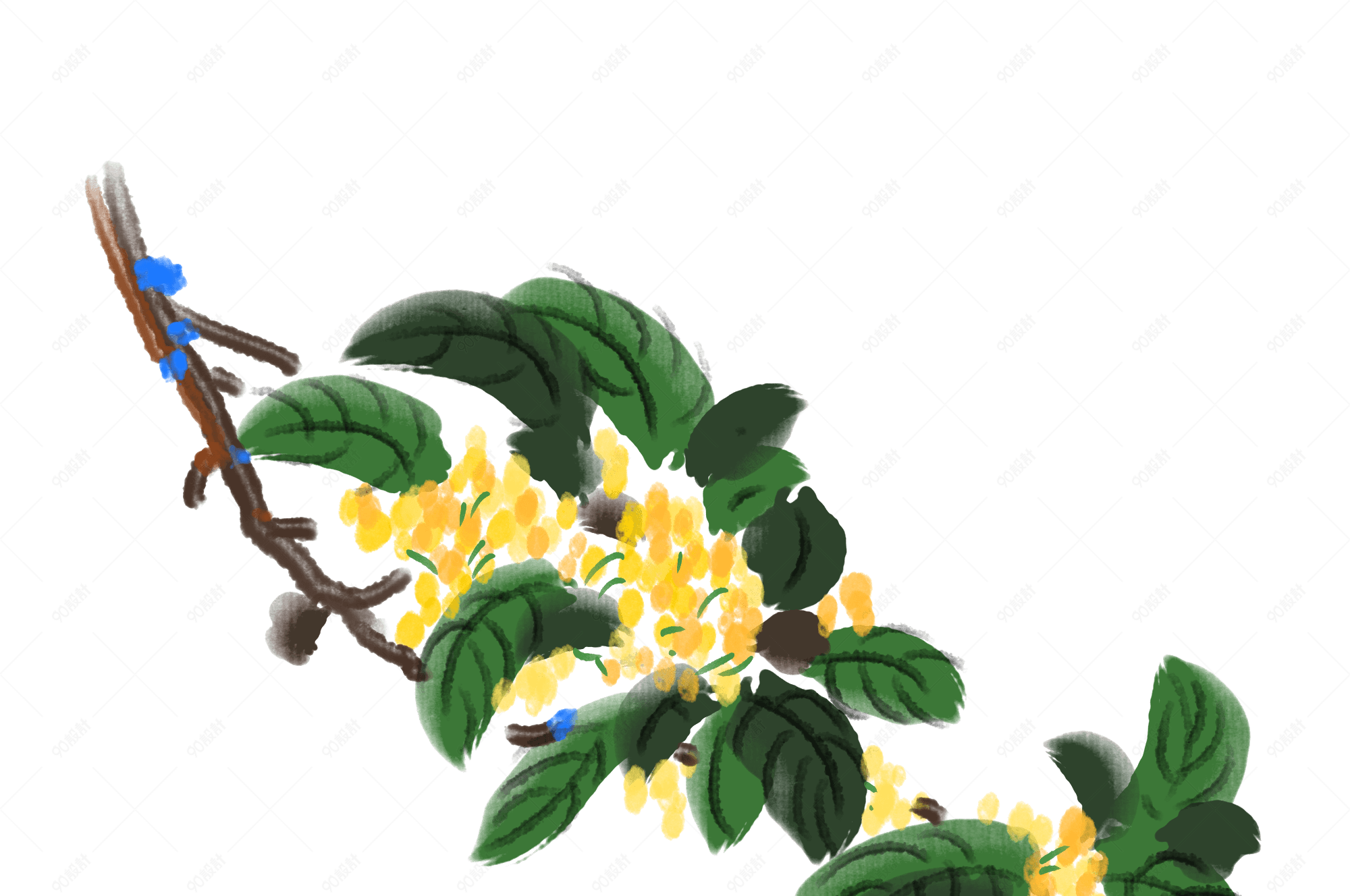 秋冬手绘金色桂花插画