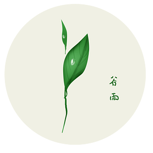 谷雨 手绘植物雨珠