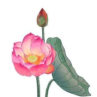 中国风荷花水彩画