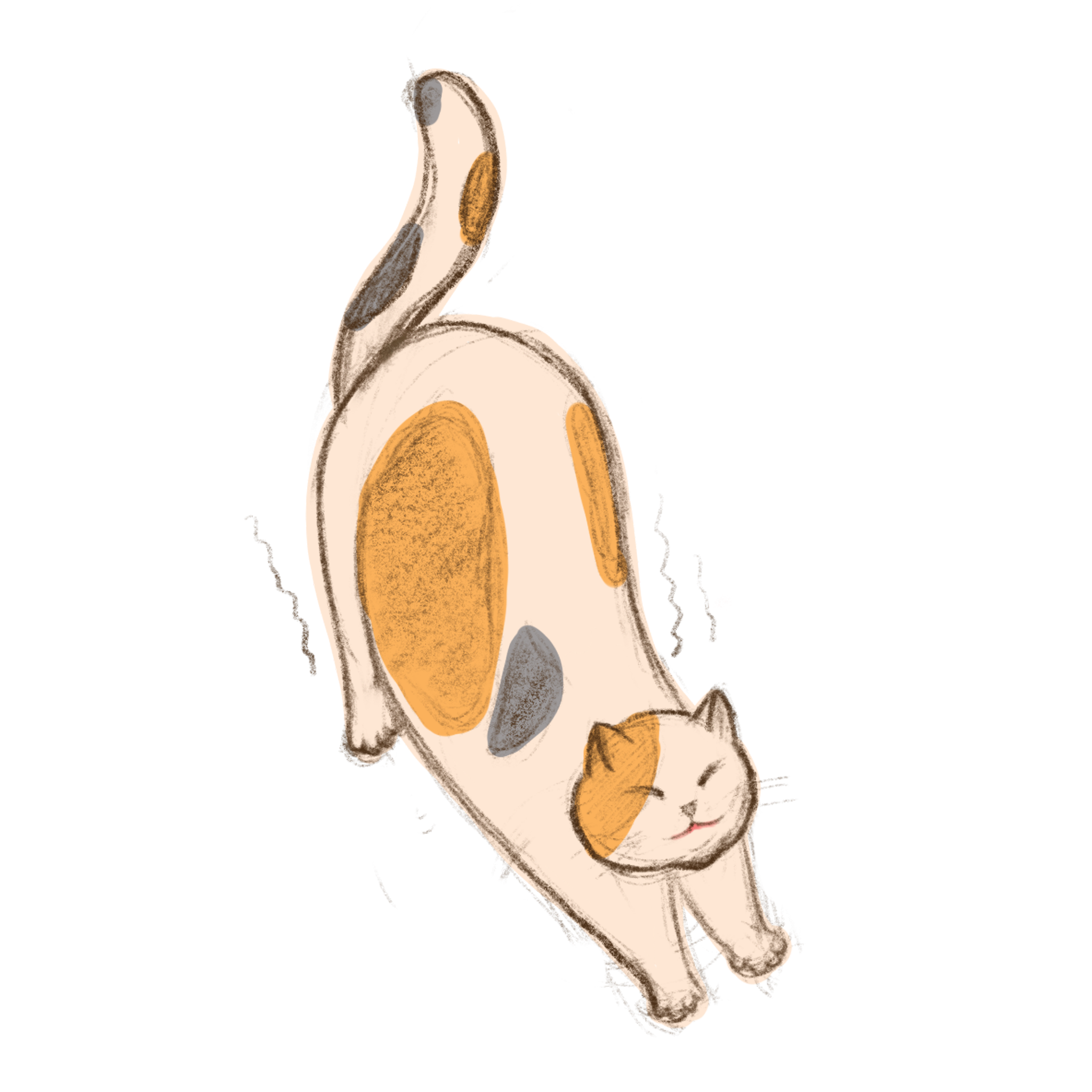 猫咪猫咪伸懒腰手绘风